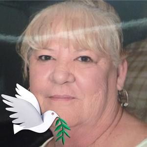 Meet your Posher, Judy